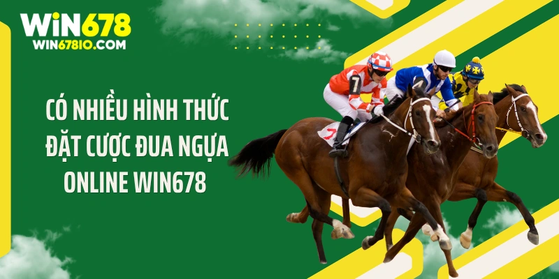 Đặt Cược Đua Ngựa Online WIN678 - Thưởng 1:99 Xanh Chín Có nhiều hình thức đặt cược đua ngựa online WIN678