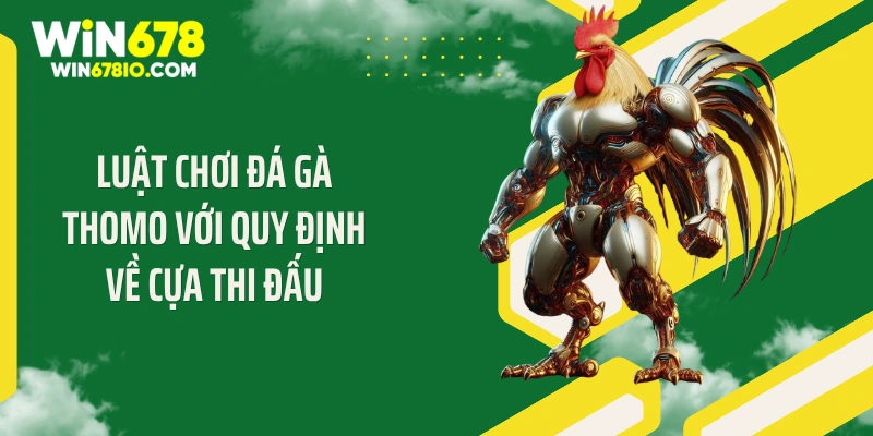 Luật Chơi Đá Gà Thomo Chuẩn Giúp Bạn Thắng 99% Tại Win678 Luật chơi đá gà Thomo với quy định về cựa thi đấu