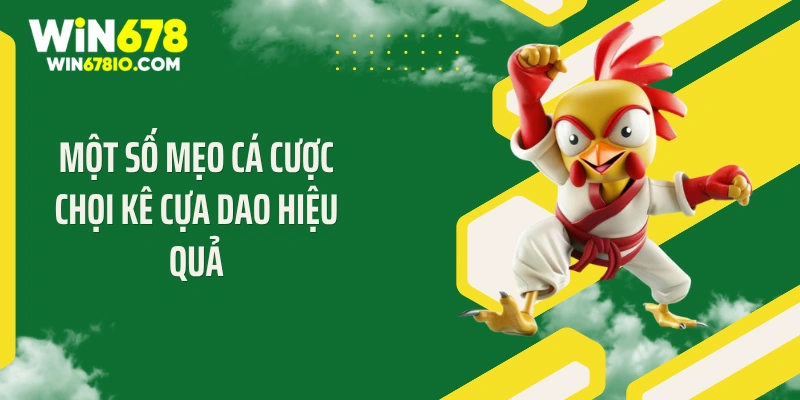 Luật Chơi Đá Gà Cựa Dao: Bí Quyết Thắng Lớn Tại Win678 Một số mẹo cá cược chọi kê cựa dao hiệu quả