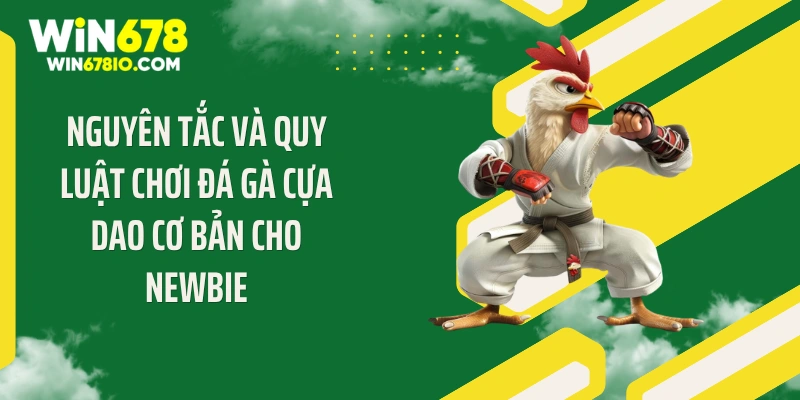 Luật Chơi Đá Gà Cựa Dao: Bí Quyết Thắng Lớn Tại Win678 Nguyên tắc và quy luật chơi đá gà cựa dao cơ bản cho newbie