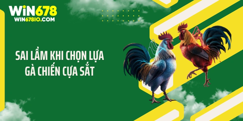 Cách Chọn Gà Đá Cựa Sắt: Tiêu Chuẩn Thắng Lớn Win678 Sai lầm khi chọn lựa gà chiến cựa sắt